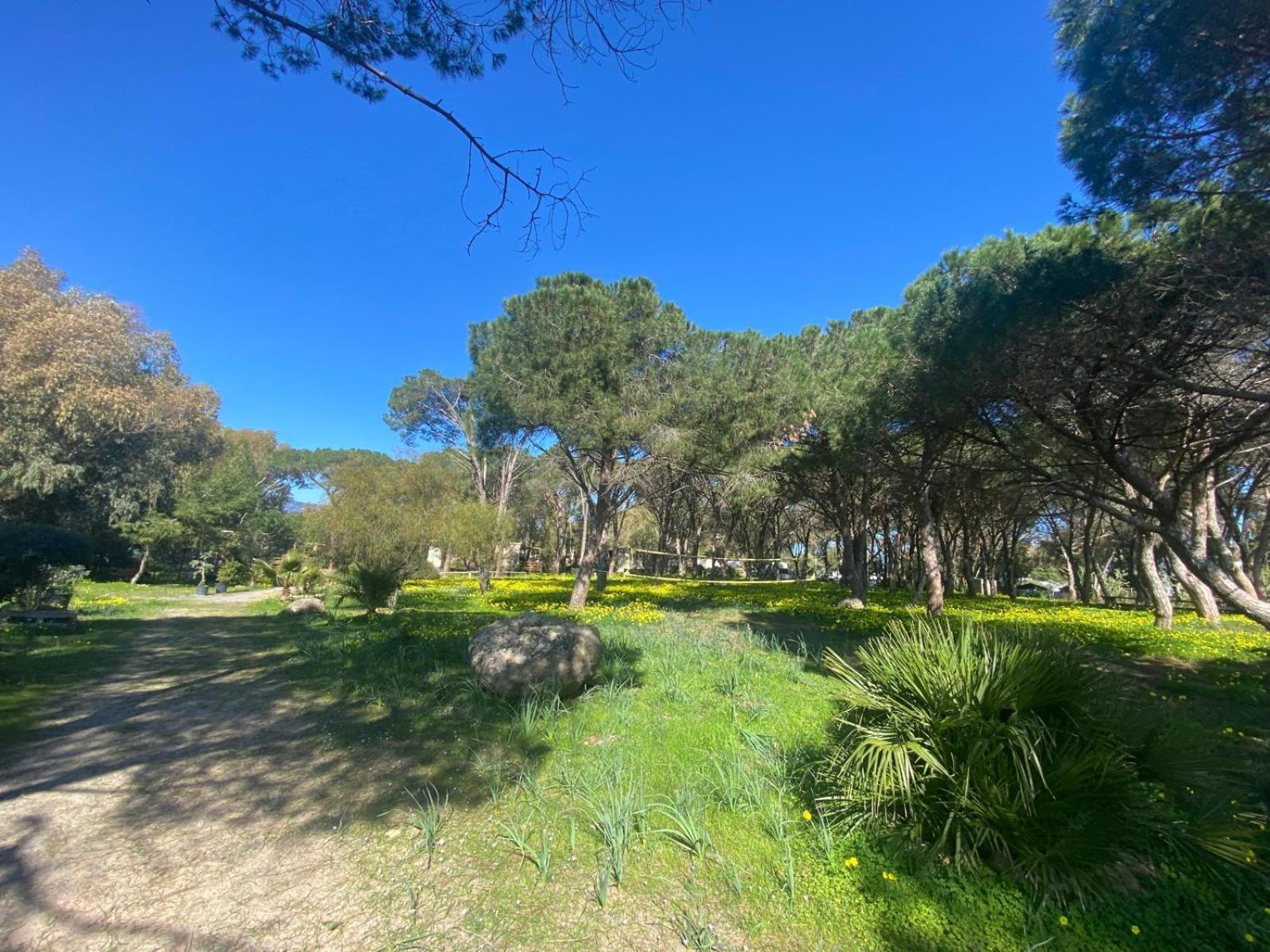 Camping Village Flumendosa سانتا مارغريتا دي المظهر الخارجي الصورة